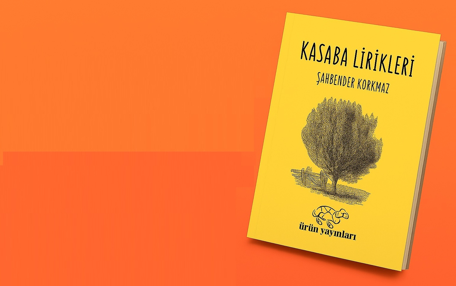 Kasaba Lirikleri: Taşın Uğultusunda Bir Hüzün Senfonisi